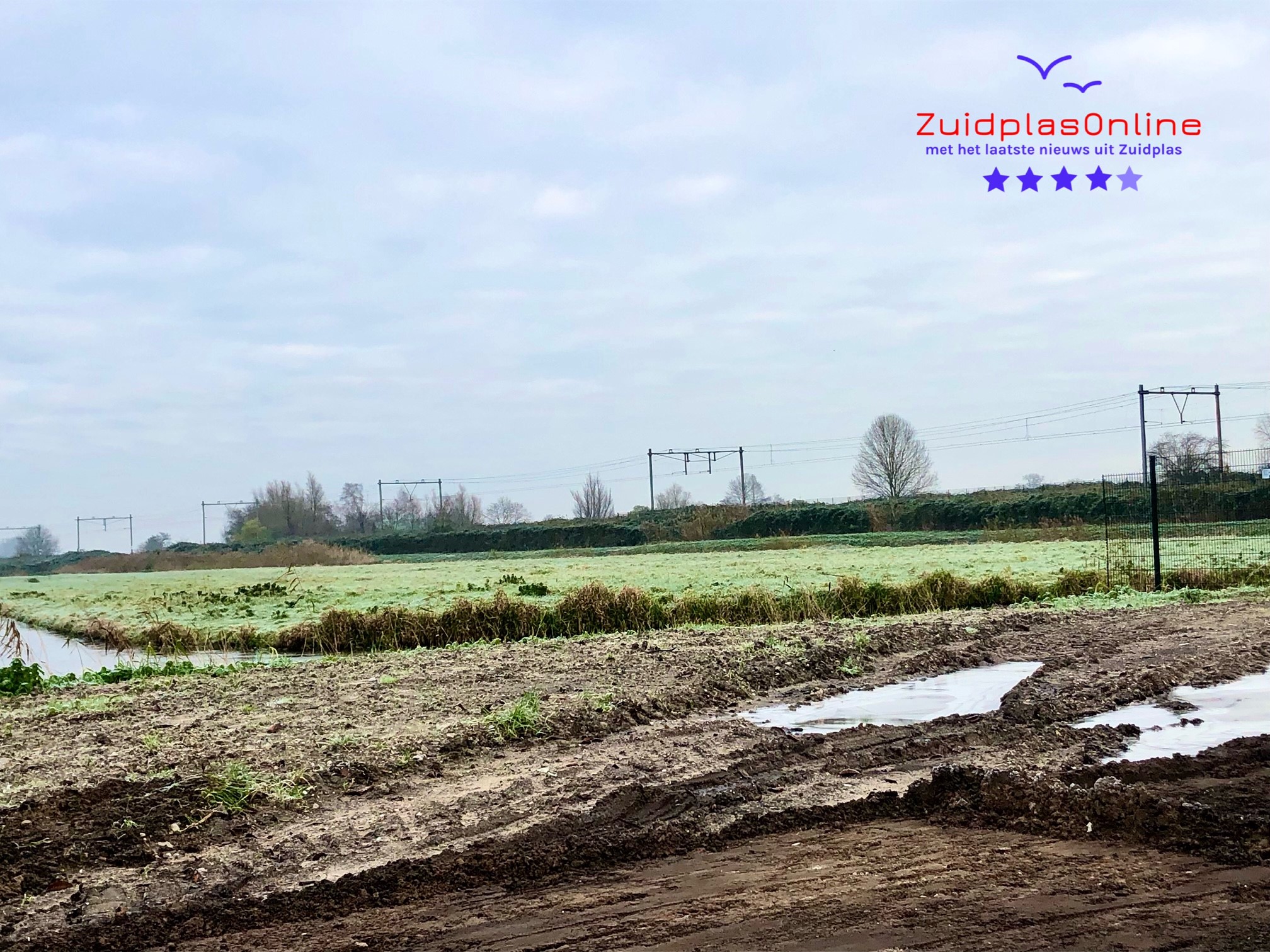 Platform asielopvangzuidplas gestart - Zuidplas Online